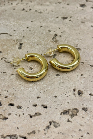 Sun Sea & Roses - Earrings Small Hoops